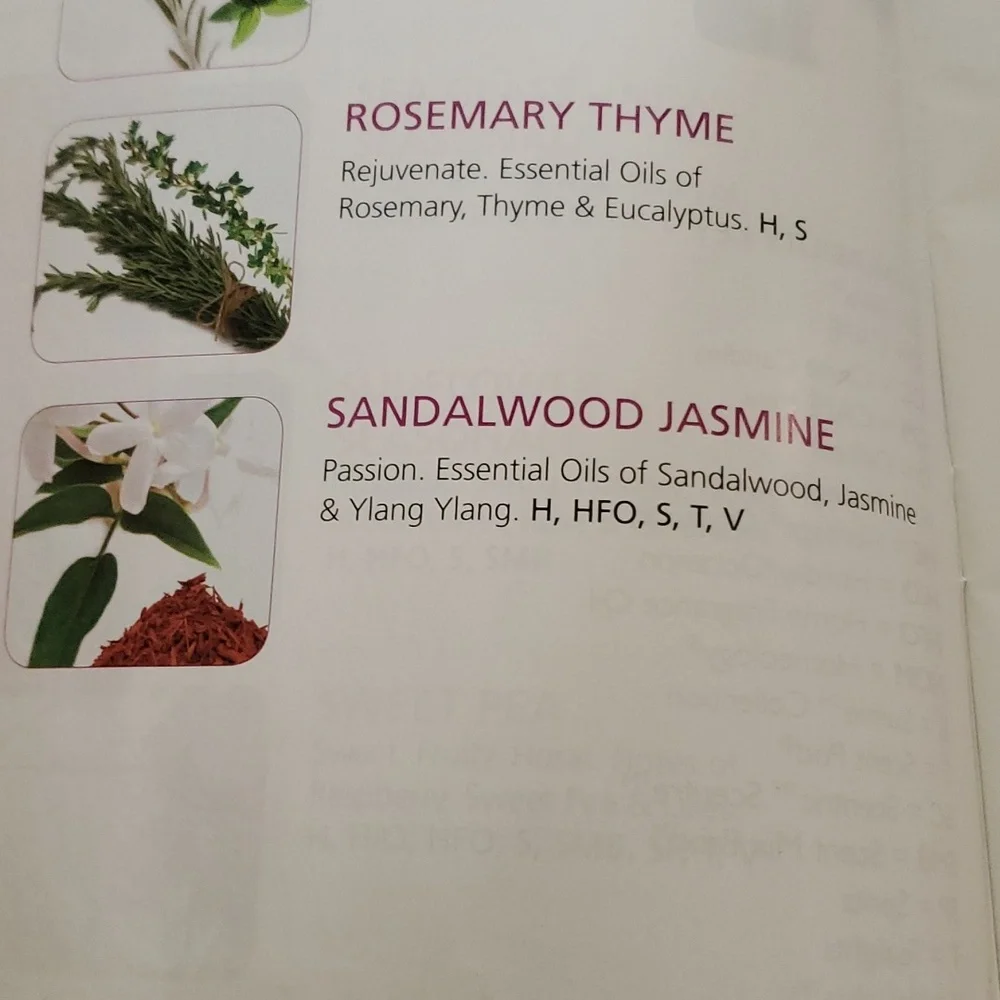 SANDALWOOD JASMINE Gold‎ Canyon 2.4 oz scent pod
